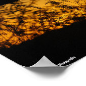 Landelijk Oranje Zonsondergang Silhouet Poster (Hoek)