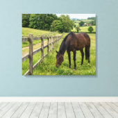 Landelijk Paard in de Weide Canvas Afdruk (Insitu (Houten vloer))