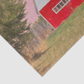 Landelijk rood-wit schuur roze lucht tissuepapier (Detail)