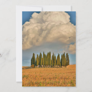 Landelijk Toscane cipressenbomen Bedankkaart