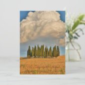 Landelijk Toscane cipressenbomen Bedankkaart (Staand voorkant)