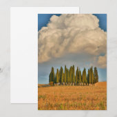 Landelijk Toscane cipressenbomen Bedankkaart (Voorkant / Achterkant)