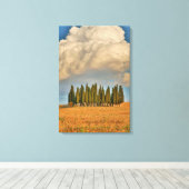 Landelijk Toscane cipressenbomen Canvas Afdruk (Insitu (Houten vloer))