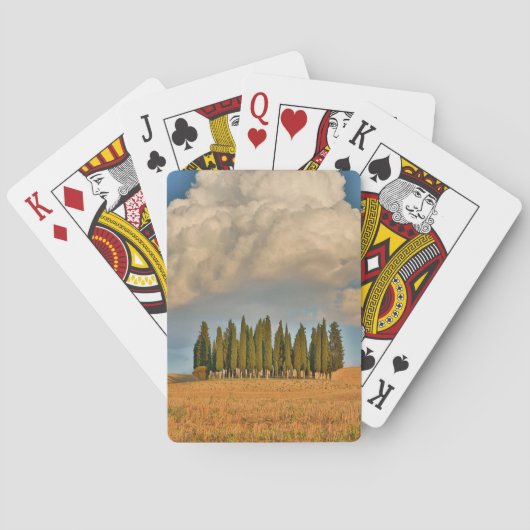 Landelijk Toscane cipressenbomen Pokerkaarten (Achterkant)