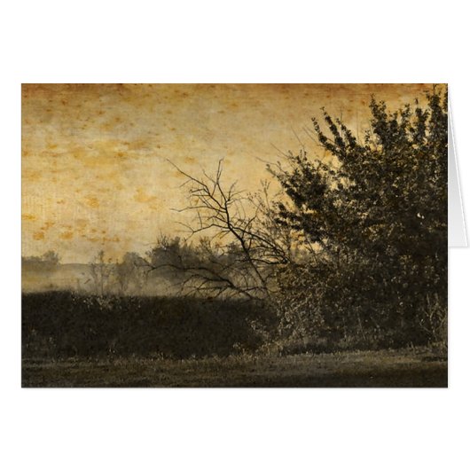 Landelijk veldlandschap Rustieke winterbomen (Voorkant Horizontaal)