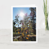 Landelijk zomerlandschap kaart (Voorkant)