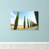 Landelijke beboste weg, Toscane Canvas Afdruk (Insitu (Houten vloer))