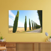 Landelijke beboste weg, Toscane Canvas Afdruk (Insitu (Woonkamer))