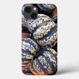 Landelijke Gestreepte Pompoenen Case-Mate iPhone Case
