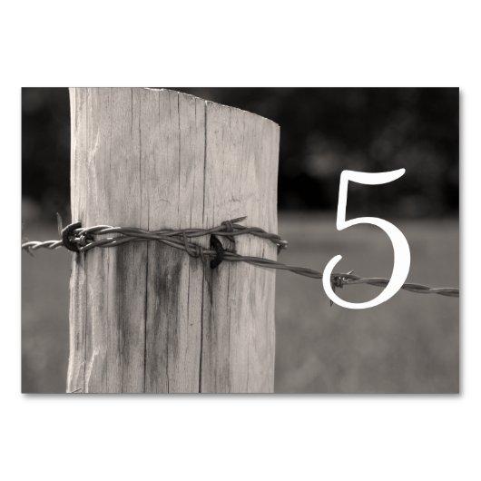 Landelijke hek Post Land Westerne bruiloft Kaart (Achterkant)