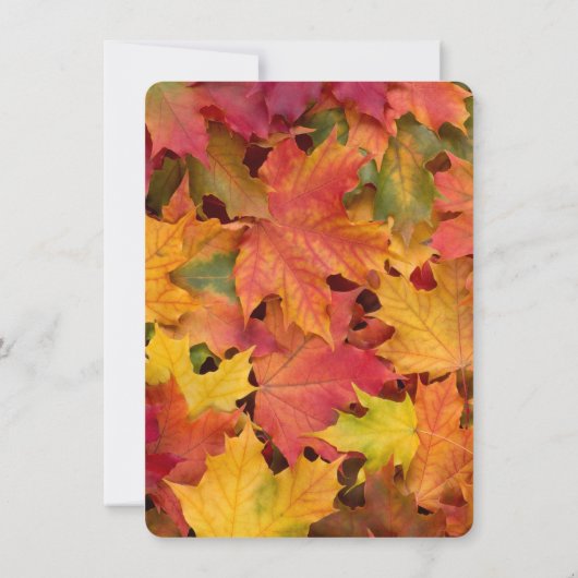 Landelijke herfst-krijtbord Thanksgiving dinerfees Kaart (Achterkant)