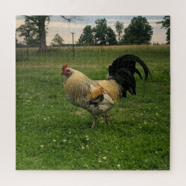 Landelijke Kip op de Boerderij Foto Legpuzzel