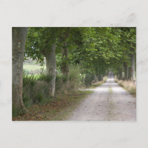 Landelijke onverharde landweg nabij de stad briefkaart