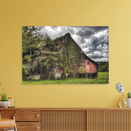 Landelijke oude wijnstok-bedekte rode schuur zware canvas afdruk (Insitu (Woonkamer))