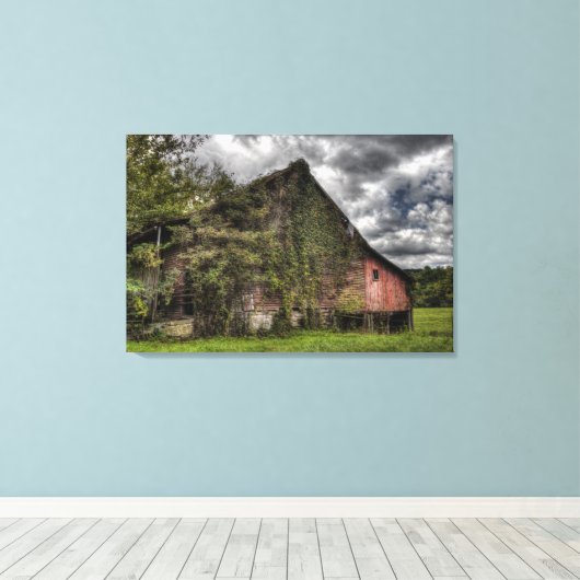 Landelijke oude wijnstok-bedekte rode schuur zware canvas afdruk (Insitu (Houten vloer))