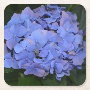 Landelijke Paarse Hydrangea macrophylla Kartonnen Onderzetters
