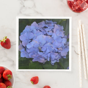 Landelijke Paarse Hydrangea macrophylla Servet