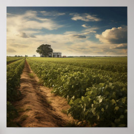 Landelijke pinda veld poster