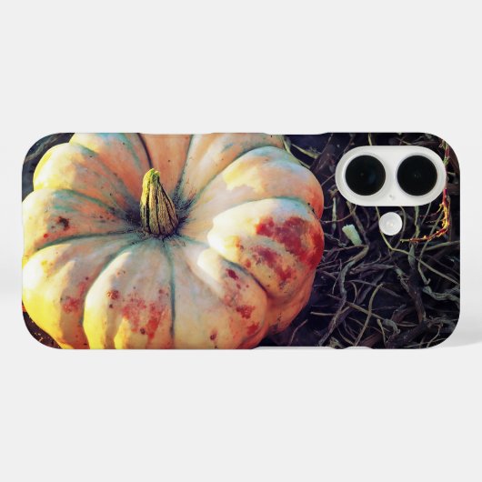Landelijke Pompoen Case-Mate iPhone Case (Achterkant (horizontaal))
