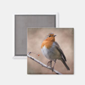 Landelijke Robin Magneet (Voorkant / Achterkant)