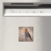 Landelijke Robin Magneet (Insitu (Vaatwasser))