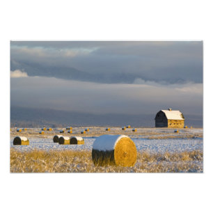 Landelijke schuur en hooibalen na een verse sneeuw foto afdruk