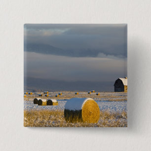 Landelijke schuur en hooibalen na een verse sneeuw vierkante button 5,1 cm