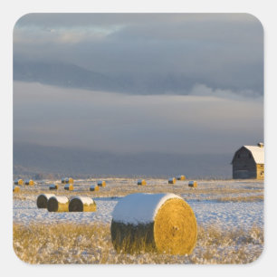 Landelijke schuur en hooibalen na een verse sneeuw vierkante sticker