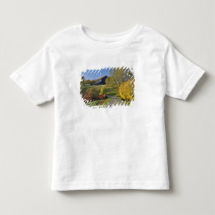 Landelijke weg door de Bluegrass-regio van Kentuck Kinder Shirts