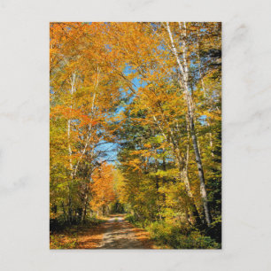 Landelijke weg herfstkleuren New Hampshire Briefkaart