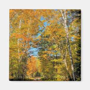 Landelijke weg herfstkleuren New Hampshire Magneet