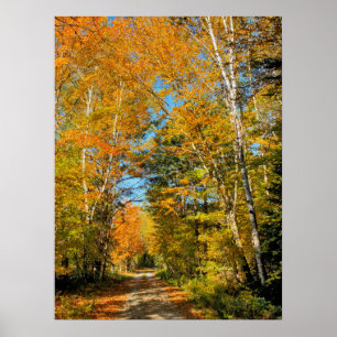 Landelijke weg herfstkleuren New Hampshire Poster