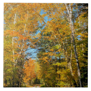 Landelijke weg herfstkleuren New Hampshire Tegeltje
