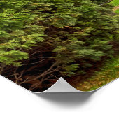 Landelijke weg poster (Hoek)