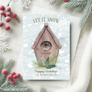Landelijke winter vogel Laat het sneeuwen vakantie Feestdagenkaart
