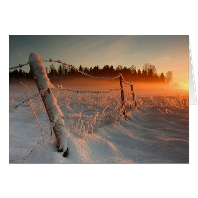 Landelijke winterzonsondergang (Voorkant Horizontaal)