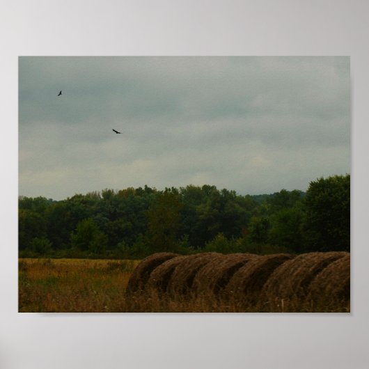 Landenbalken Poster (Voorkant)