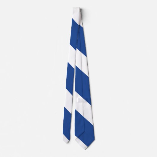 Landenblauw en Witte Broad University Stripe Stropdas (Achterkant)