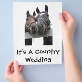 Landenbruin en -bruin flyer (Hand)