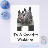 Landenbruin en -bruin flyer (Enkel)