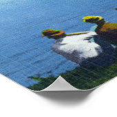 Landenclub-Uitzicht van het Sailboot Regatta op he Poster (Hoek)