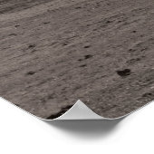 Landeneiken Sepia Poster (Hoek)