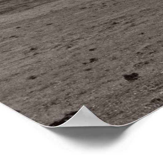 Landeneiken Sepia Poster (Hoek)