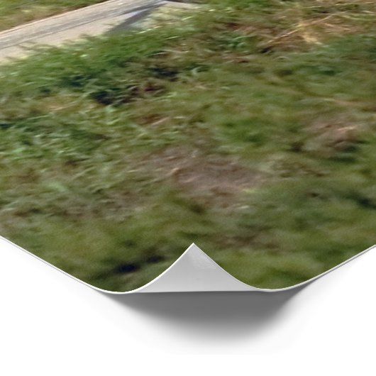 Landenfiets Poster (Hoek)