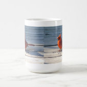 Landenkardinale Mok (Center)