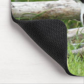 Landenkat-Muismat Muismat (Hoek)