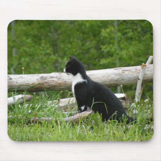 Landenkat-Muismat Muismat (Voorkant)