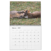 Landenkatten Kalender (Feb 2027)