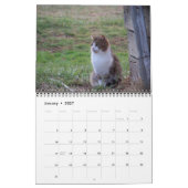 Landenkatten Kalender (Jan 2027)