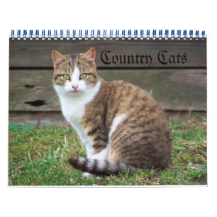 Landenkatten Kalender